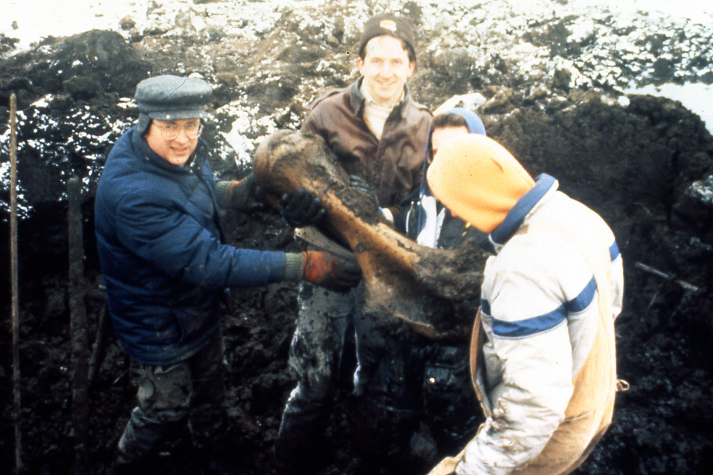Burning Tree Mastodon excavation (midDecember 1989), Burn… Flickr