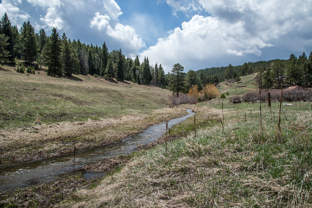 Turkey Creek Jefferson County, Colorado, May 11, 2013 Kent Kanouse