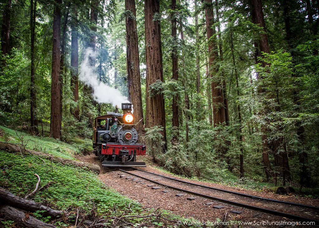 Roaring Camp Railroad The Roaring Camp & Big Trees Railroa… Flickr