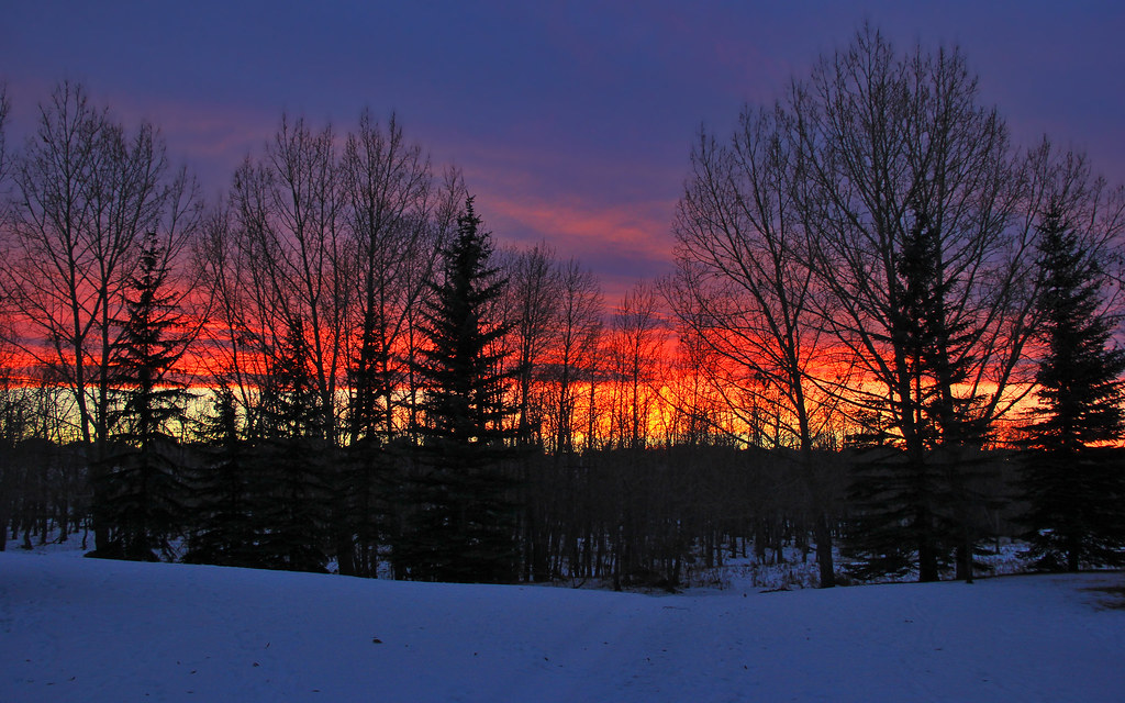 Intense Winter Sunset Through Trees This was taken a coupl… Flickr
