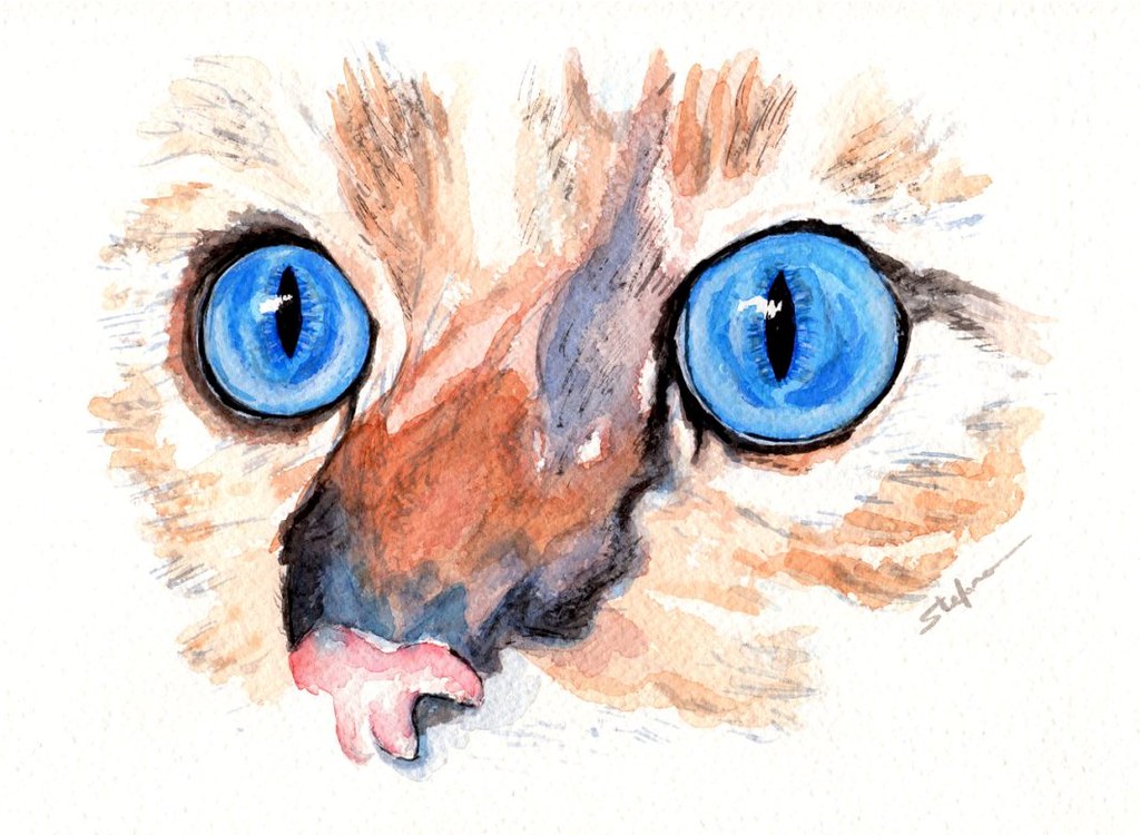 Cat Eyes Watercolor Stefano Bonalume Flickr