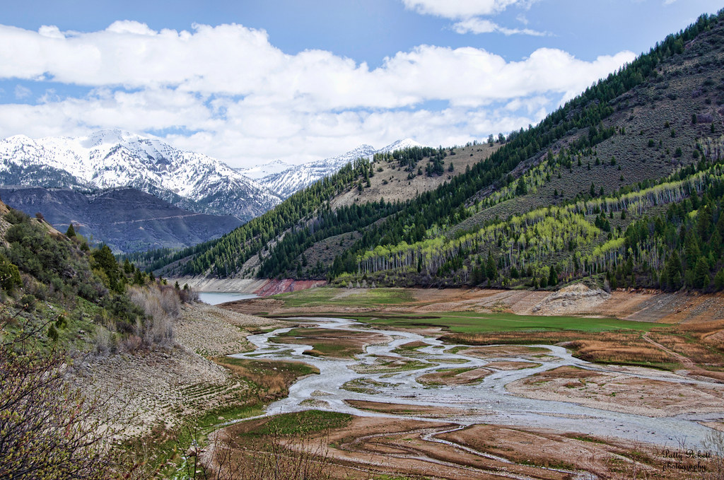 Bear creek runnng into Palisades reservoir Idaho Pattysphotos Flickr