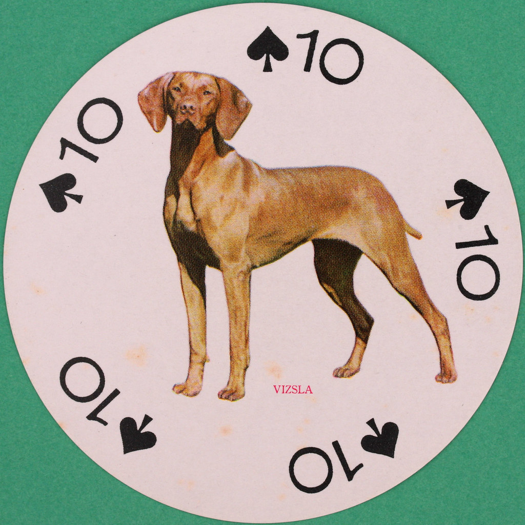 Famous Dogs of the World Round Playing Card 10 of Spades Flickr