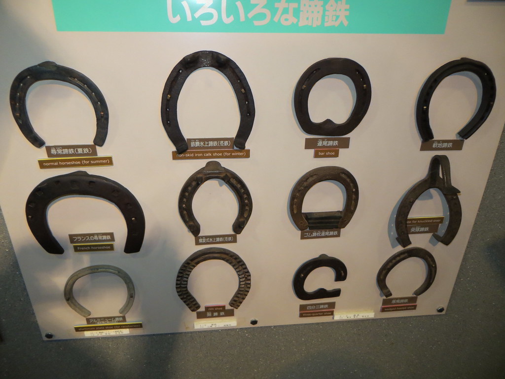 Types of horseshoes Types of horseshoes (incl. aluminum), … Flickr