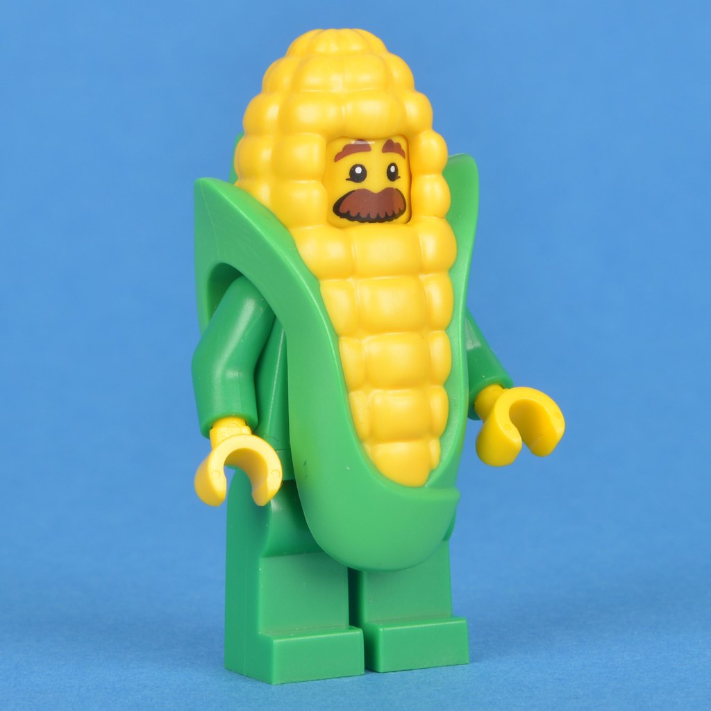 Lego Toys LEGO Construction & Building Toys genuine lego minifigures