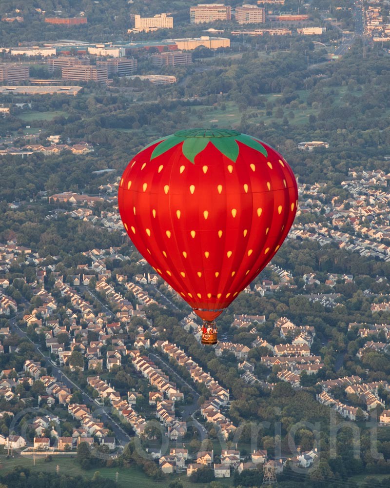 Giant Strawberry Hot Air Balloon, 2014 QuickChek New Jerse… Flickr