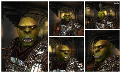 Under sun and sky Defeat Shrek Syndrome in Oblivion