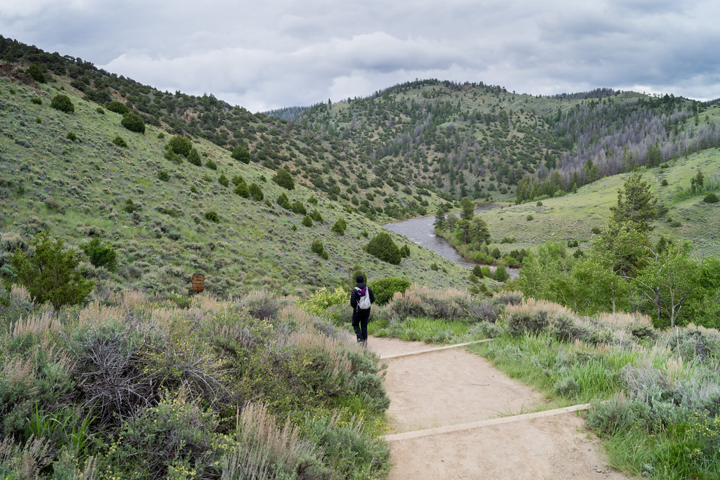 1406 Leaving Six Mile Gap Campground After our drive acros… Flickr