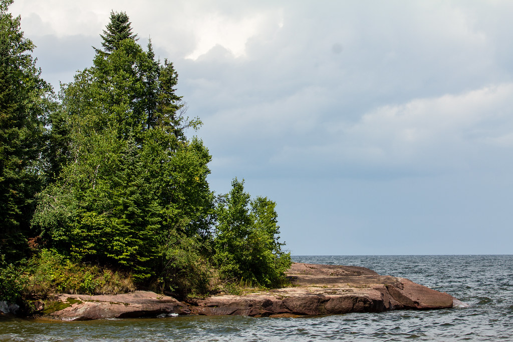 A Walk in Port Wing Radio Laura Erickson's For the Birds