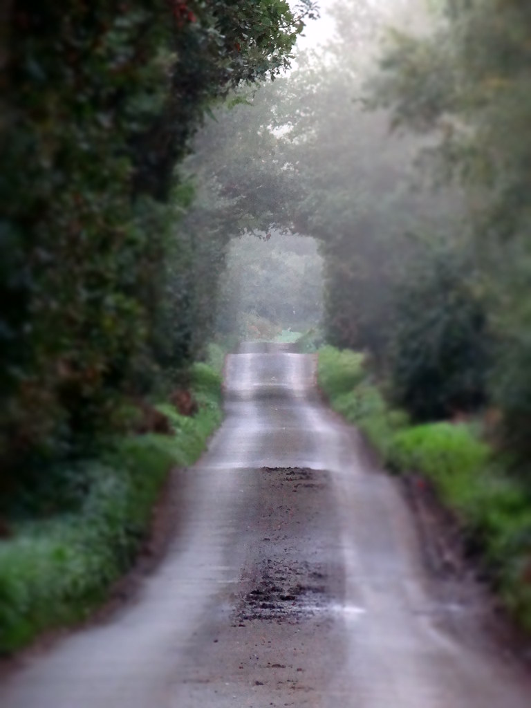 Driving on bumpy road ruin brakes fasfin