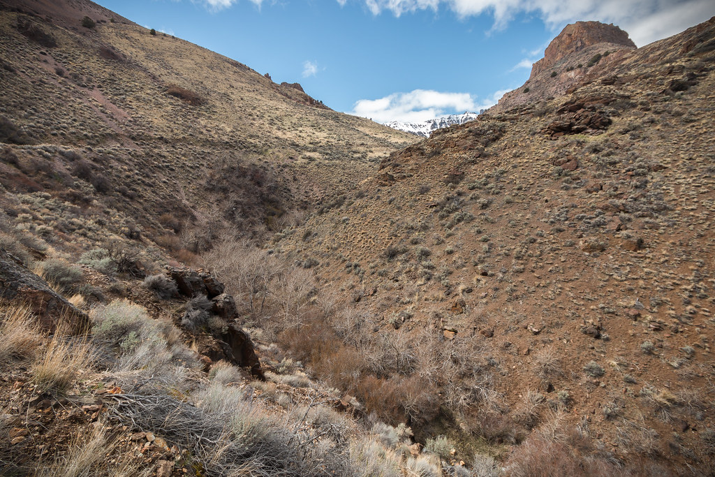 Steens Mountain, East Side Trailside view of east side of … Flickr