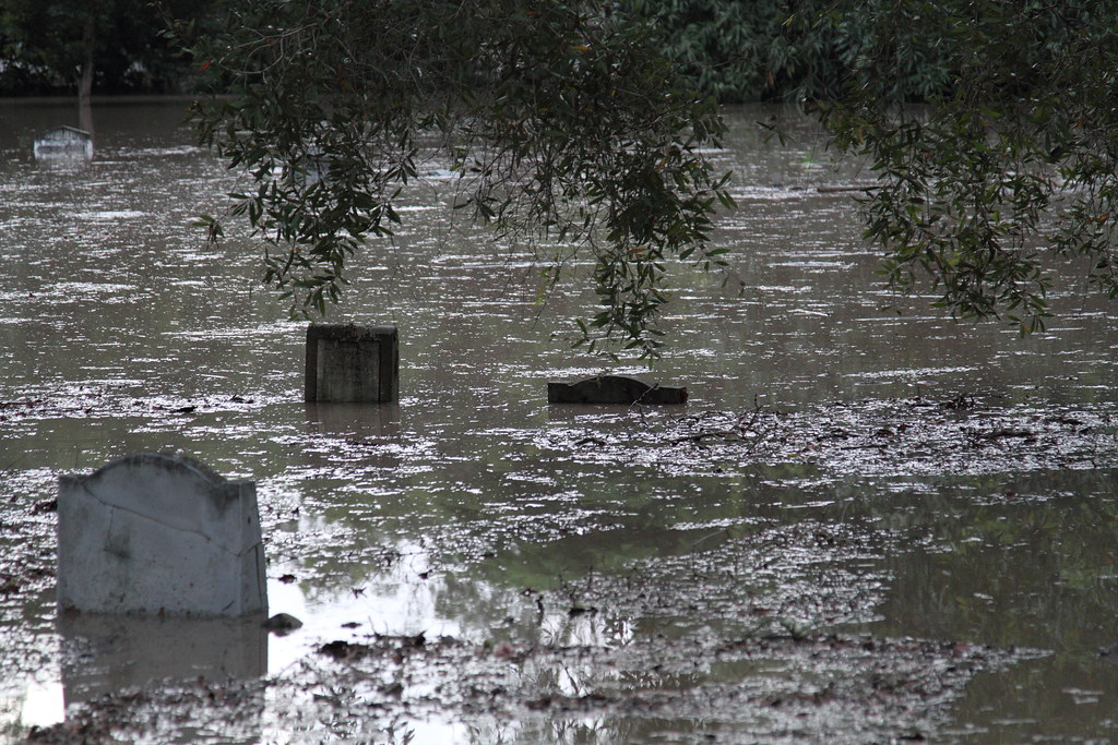 Flooded graves at Dutton Park Cemetary Floods have no resp… Flickr