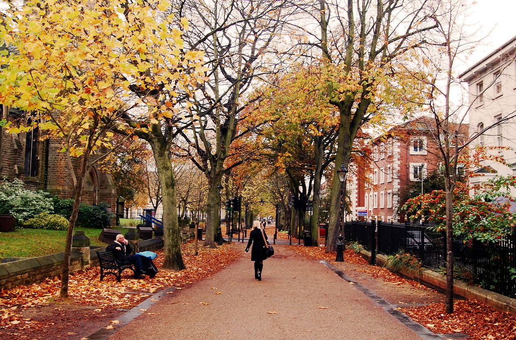 New Walk Leicester Taken in Autumn; tree lined walk near t… Flickr