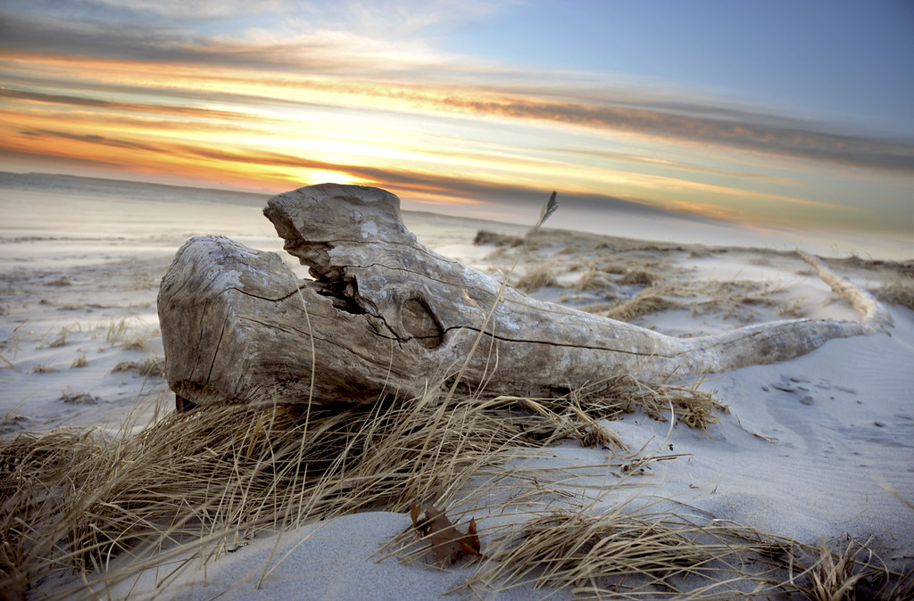 Sunrise Crane Beach Ipswich MA cold 2/20/11 winter walk. w… Flickr