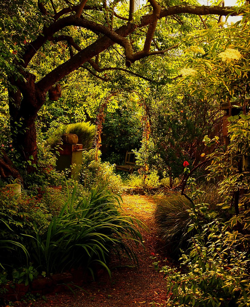 Enchanted Garden The lush, backyard of Swirl wine… Flickr