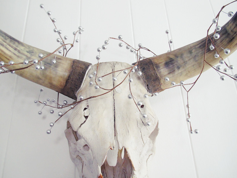 christmas cow skull Maegan Tintari Flickr