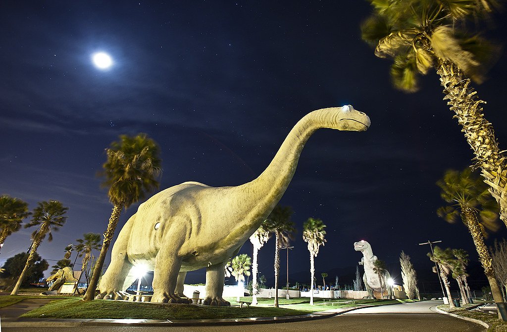 Cabazon dino cabazon near palm Springs on a windy night! Dan Eckert