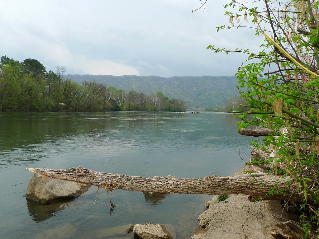 Holston River South Fork The Holston River is a major rive… Flickr