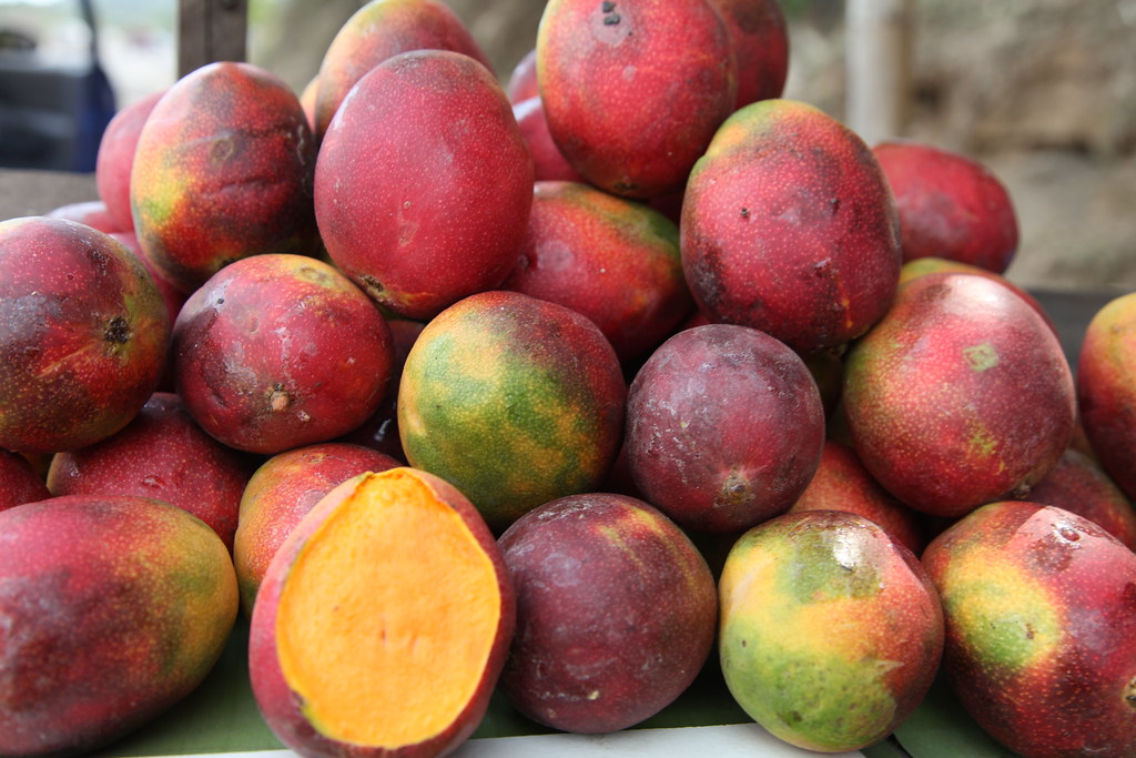 MANGOES , EL SALVADOR It is unlawful to use this image on … Flickr