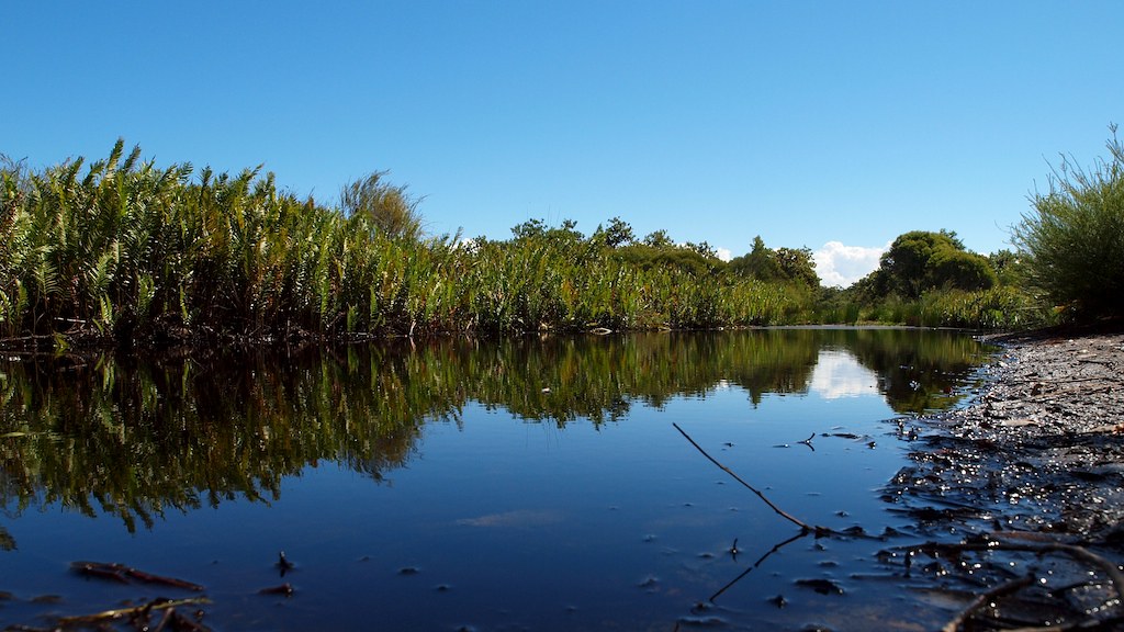 Pine Ridge Conservation Park IV The Pine Ridge Conservatio… Flickr