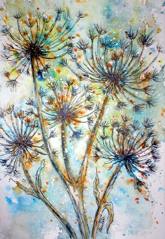 QUEEN ANNES LACE AGAIN WATERCOLOR & INK I love Queen Annes… Flickr