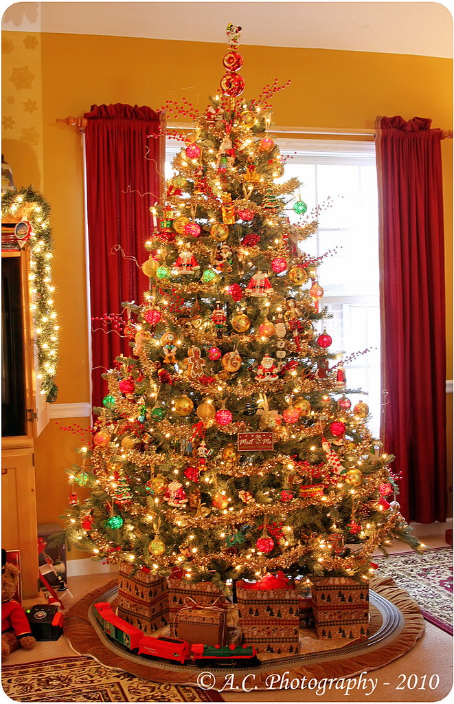 Our Christmas Tree 2010. When it first comes on it is all … Flickr