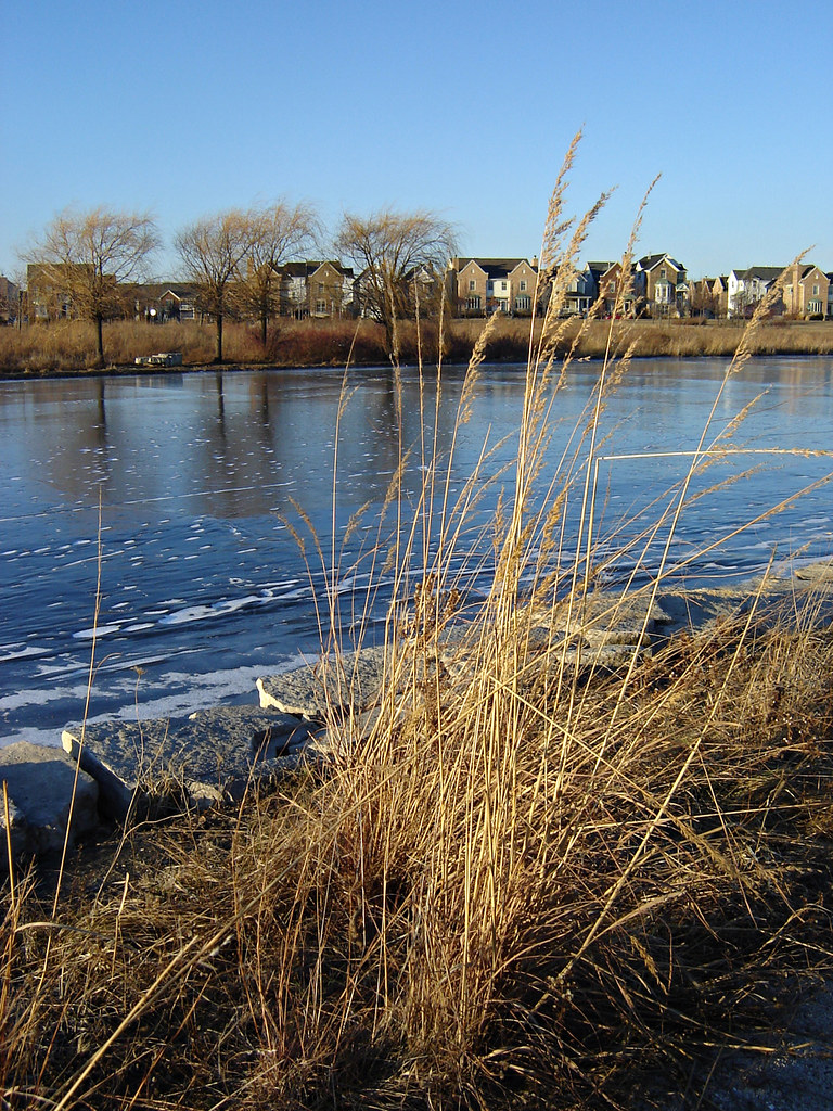 Lake Glenview 15 The rippled waves have frozen solid. Mary Anne