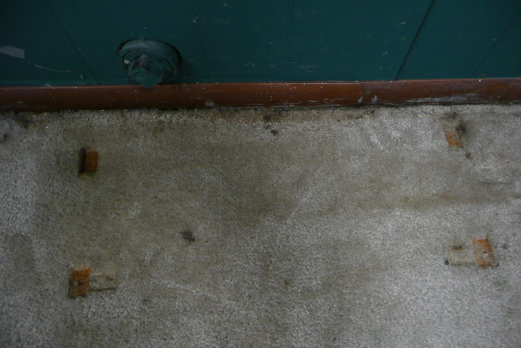 Basement problems We found a large damp spot on the carpet… Flickr