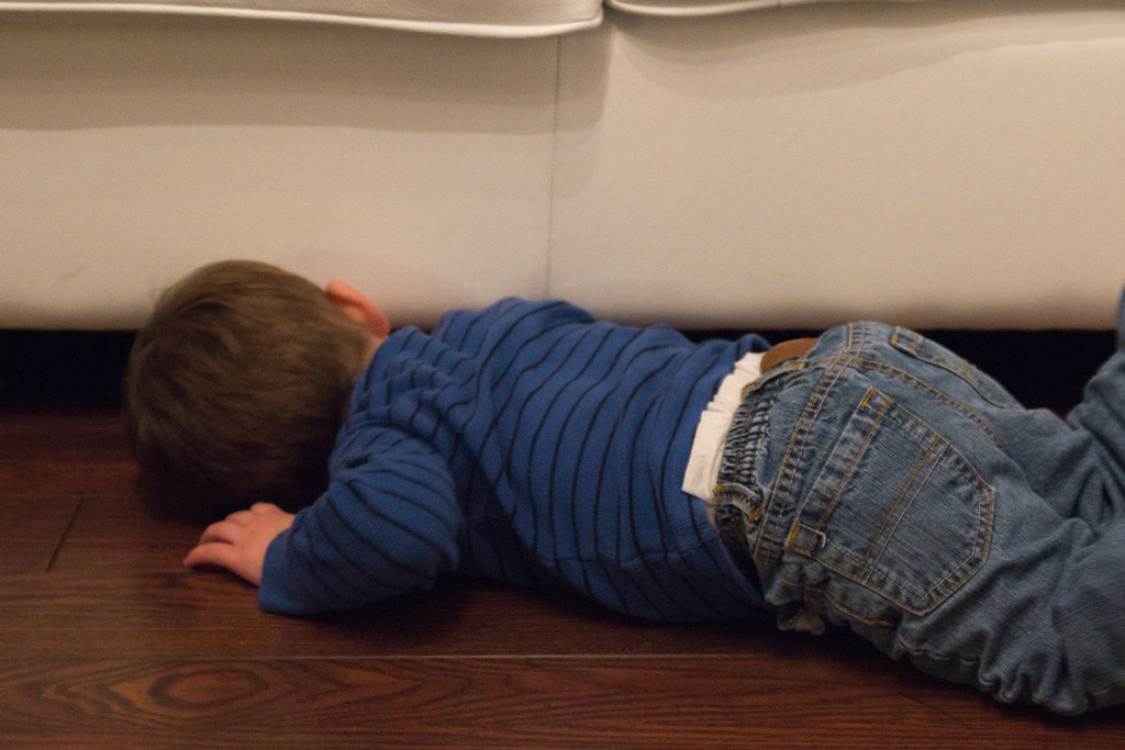 Looking Under the Couch.jpg Brian Korte Flickr