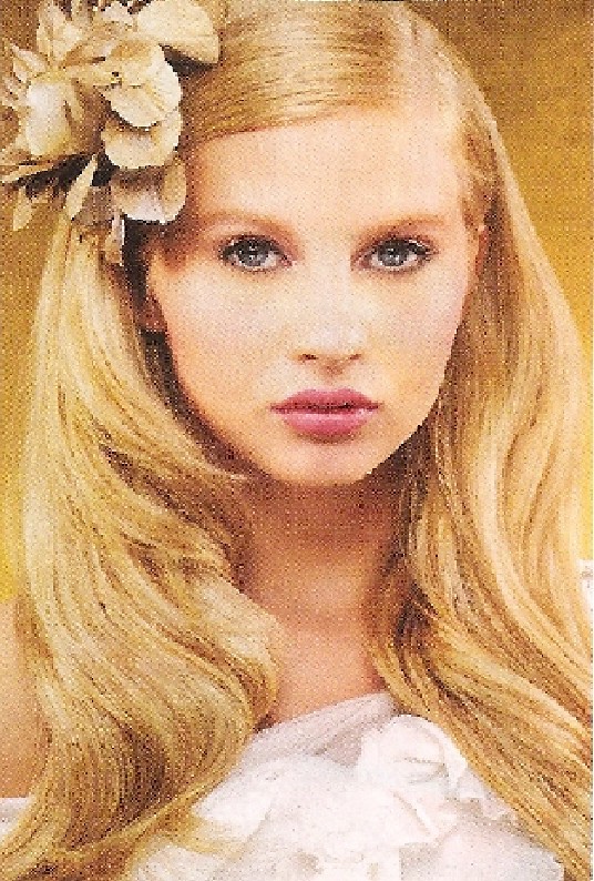 dianna castner new jersey bridal headpieces birdcage veils… Flickr