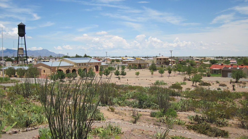 Picture from Columbus, New Mexico This is a picture from m… Flickr