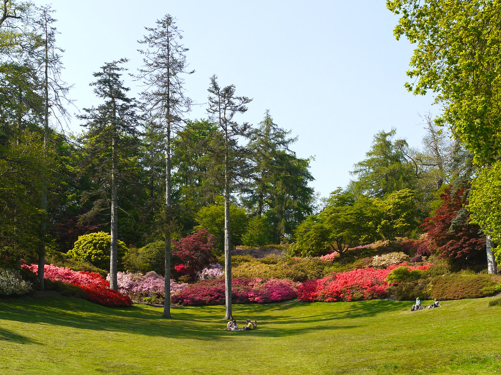 'The Punch Bowl' Valley Gardens, Virginia Water Seen in … Flickr