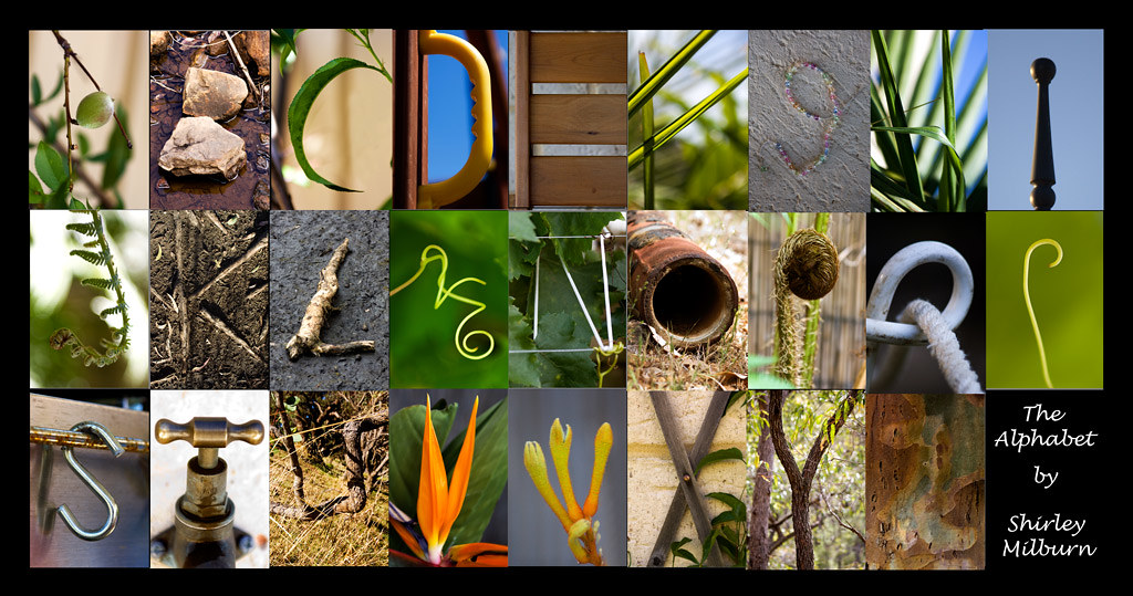 The Alphabet Find each letter of the alphabet in nature or… Flickr