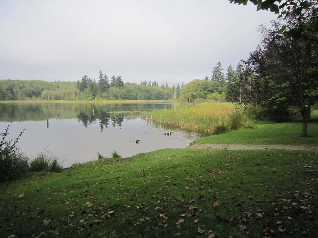 Buck Lake Park, Kitsap County, Washington This has been on… Flickr