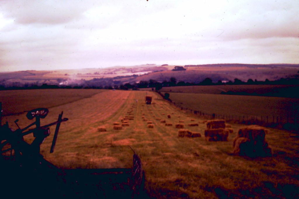 Badger Farm 3 Badger Farm Winchester before it became a ho… Flickr