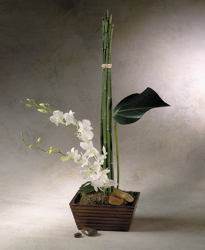 Highstyle/Contemporary Flower Arrangements The artistic, … Flickr