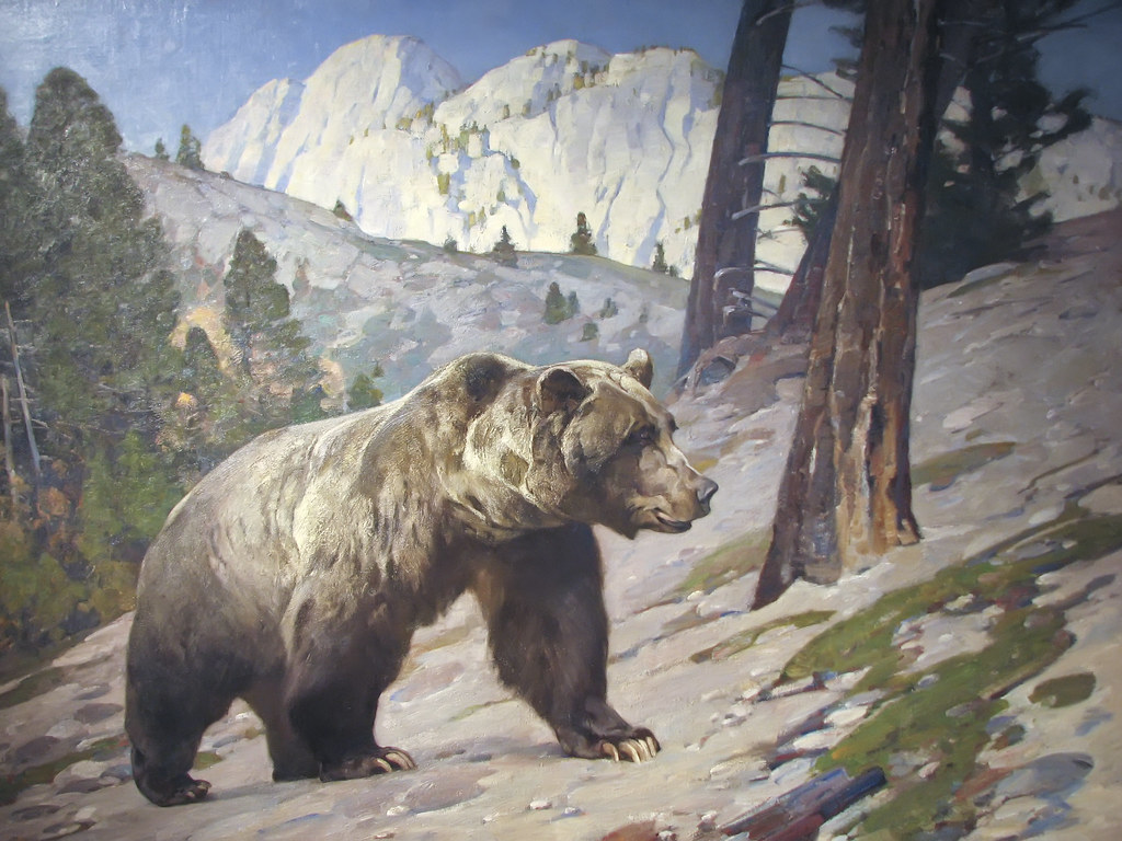 Cody Buffalo Bill Historical Center Carl Rungius, Silv