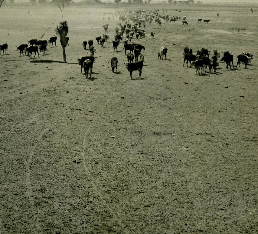 [ARIZONAJ0003] Sierra Bonita Ranch Image Title Sierra B… Flickr