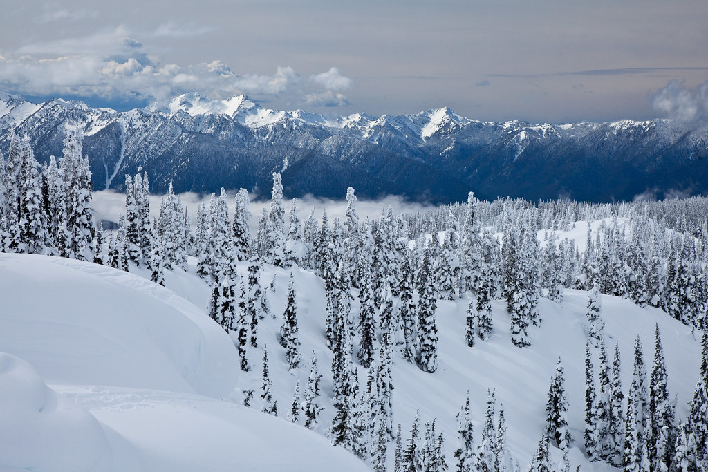 View From Hurricane Ridge in Winter View toward more peaks… Flickr