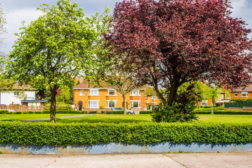 Iona Villas Drumcondra (Dublin) William Murphy Flickr