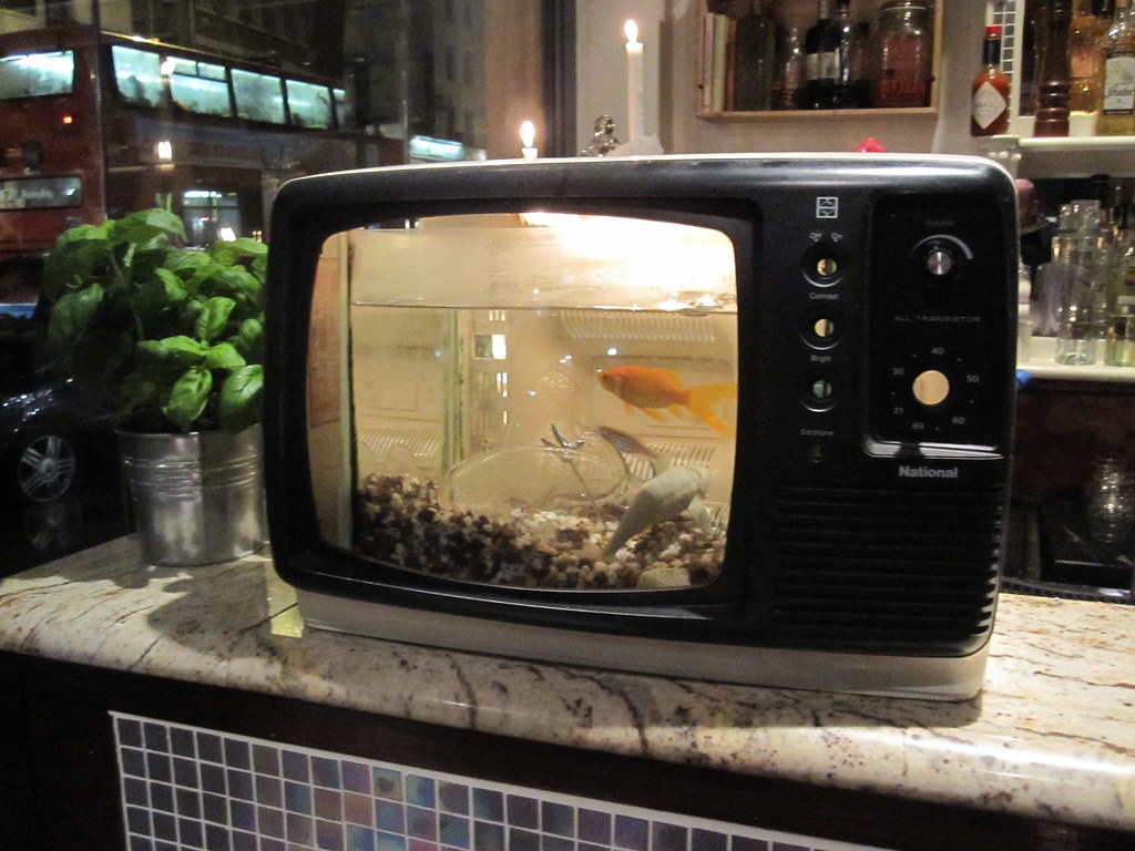 Fishtank TV in a London pub I thought that this was the n… Flickr