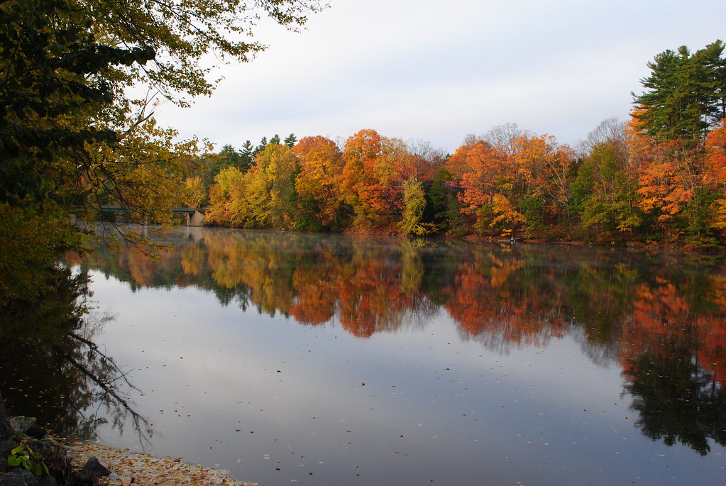 Saco River, Buxton Maine tracy nelson Flickr