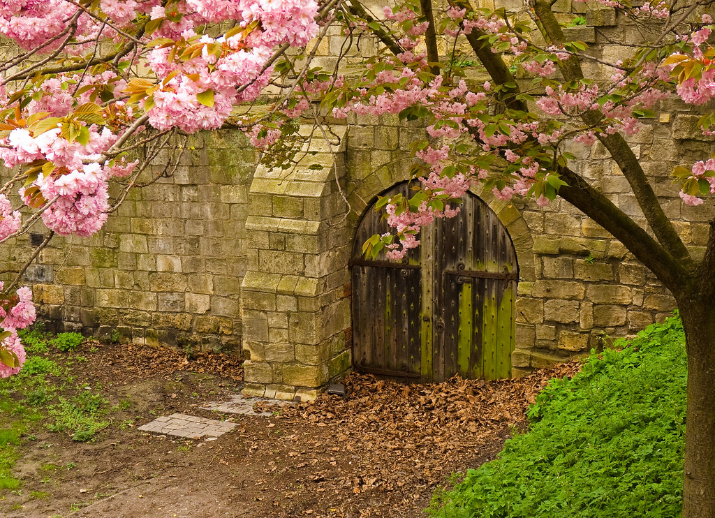 Secret Door Jack Cousin Flickr