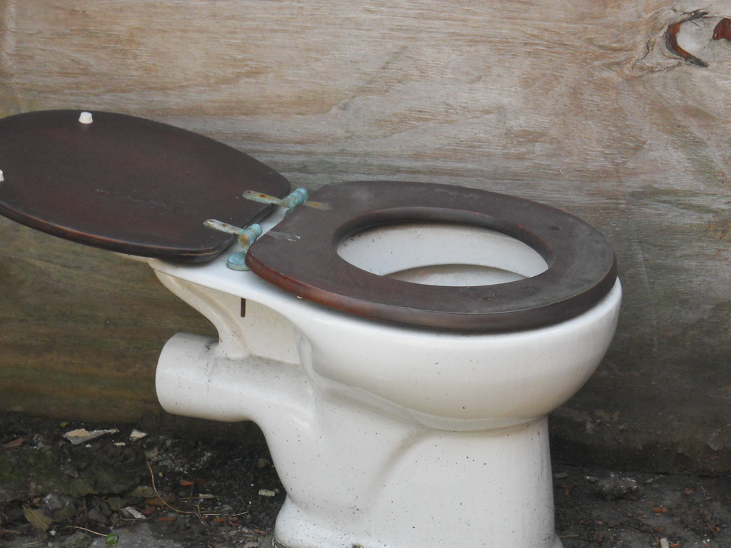 A dirty old toilet Taken last Saturday (2nd April) during … Flickr