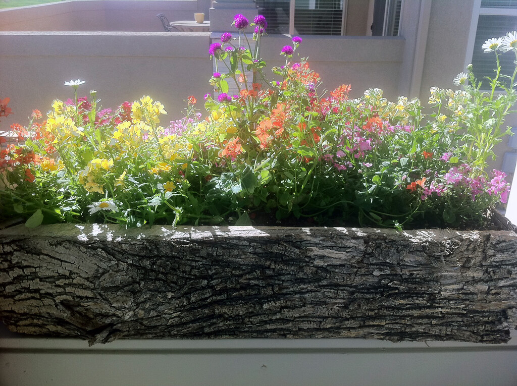 Patio Flowers Lafayette Florist & Greenhouses in Lafayet… Flickr