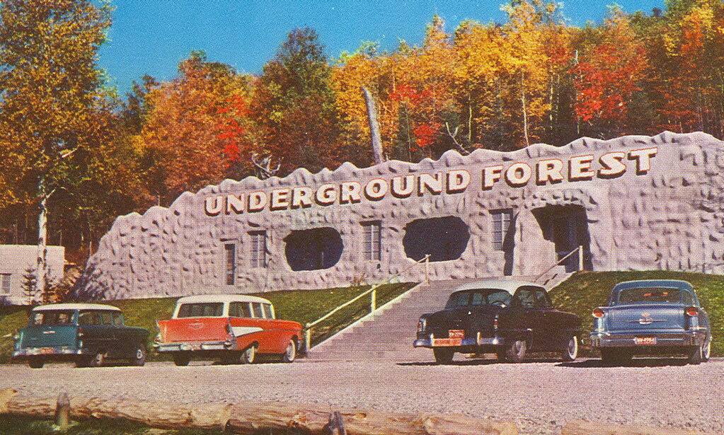 Frederic MI 1950s Great Cars outside The Underground Fores… Flickr