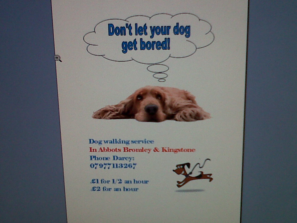 dog walking flyer hi emily this is the flyer