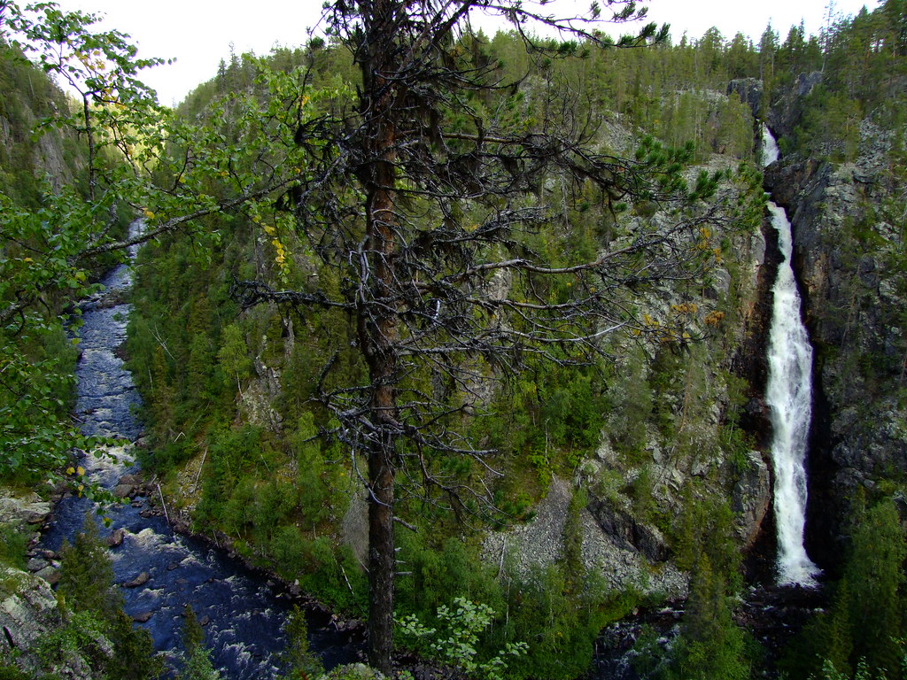 Muddusfallet A waterfall in Muddus national park, not far … Flickr