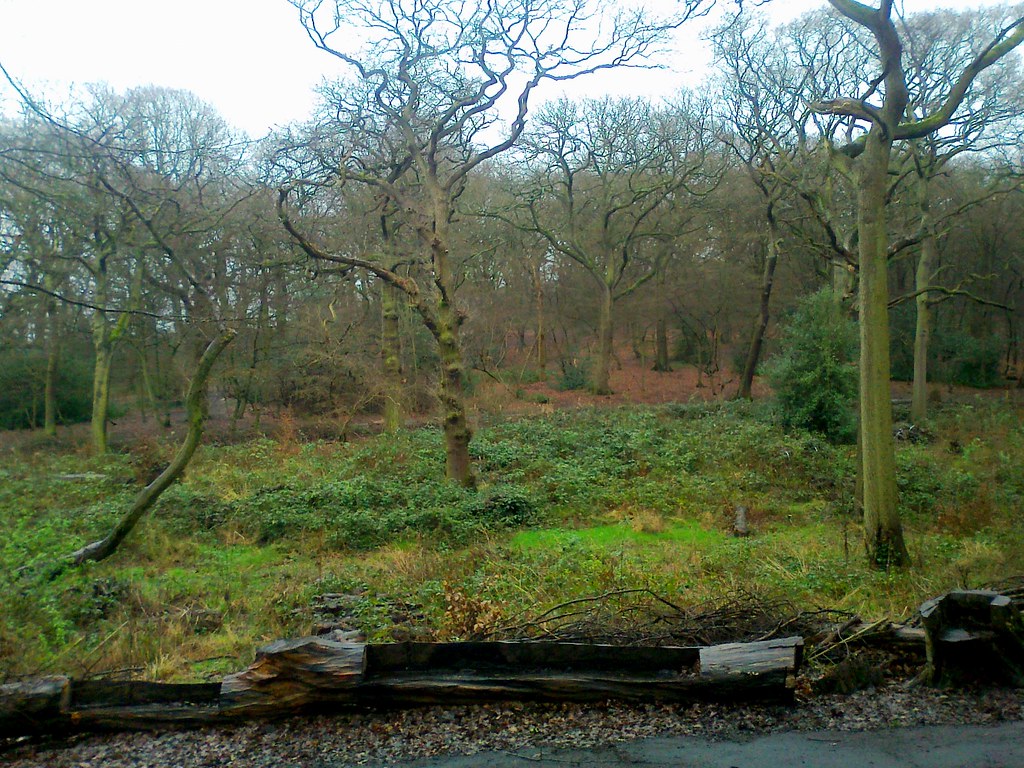 Queens Wood, Highgate, North London lawrence estrey Flickr