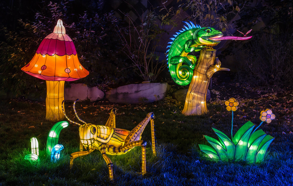chinese lantern festival 2023 calgary IlluminAsia Chinese Lantern festival at the Calgary Zoo Urban Life